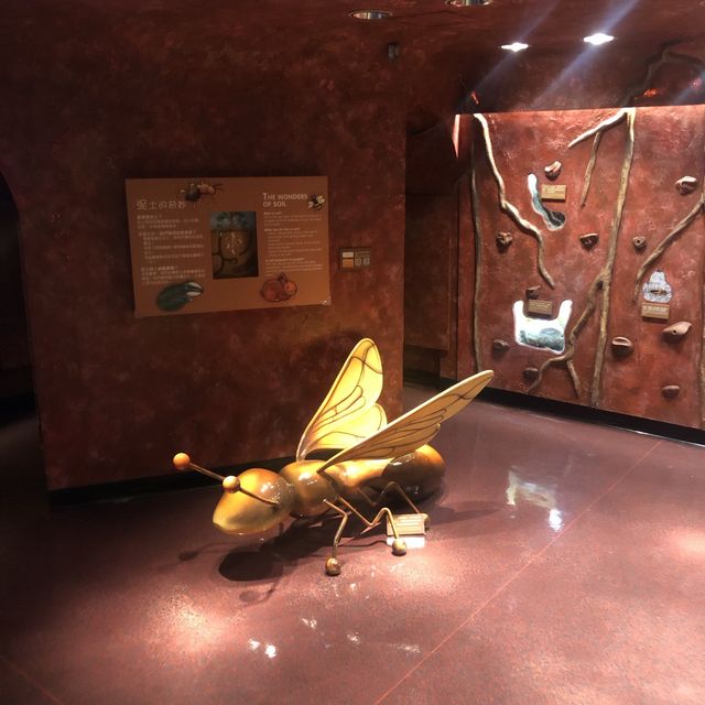 兒童探知館