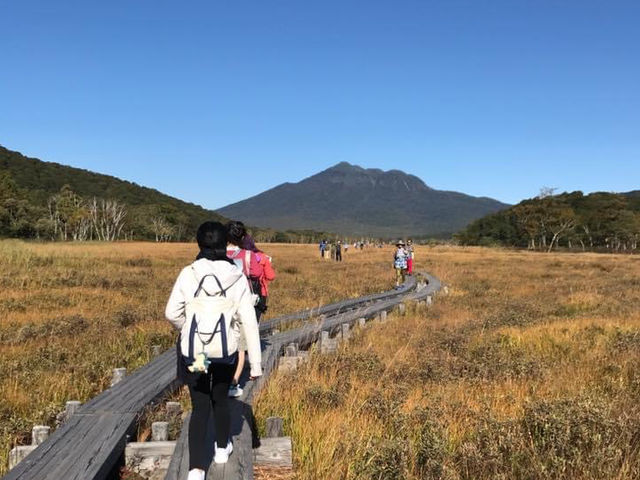 日本最大的高原濕地｜尾瀨