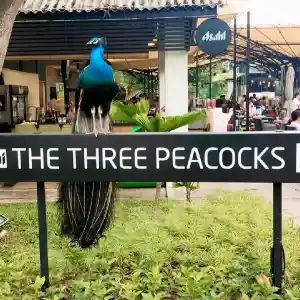 Amazing BBQ @ Three Peacocks