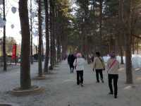 Beautiful Nami Island