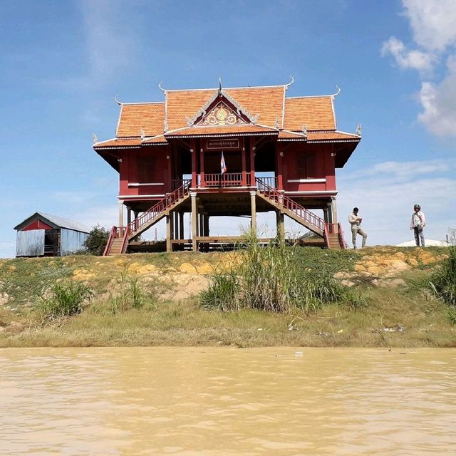 Home on stilts 