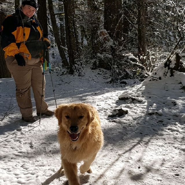 A Snowy Wonderland At Twin Falls