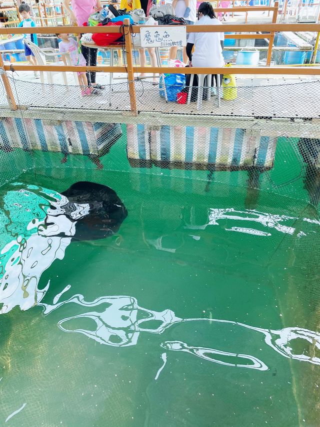 滘西洲釣魚樂 滘西洲釣魚樂