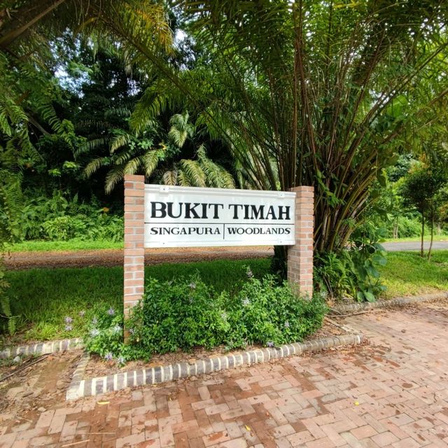 Bukit Timah Station to The Rail Mall