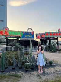 鬧市中都有綠洲?