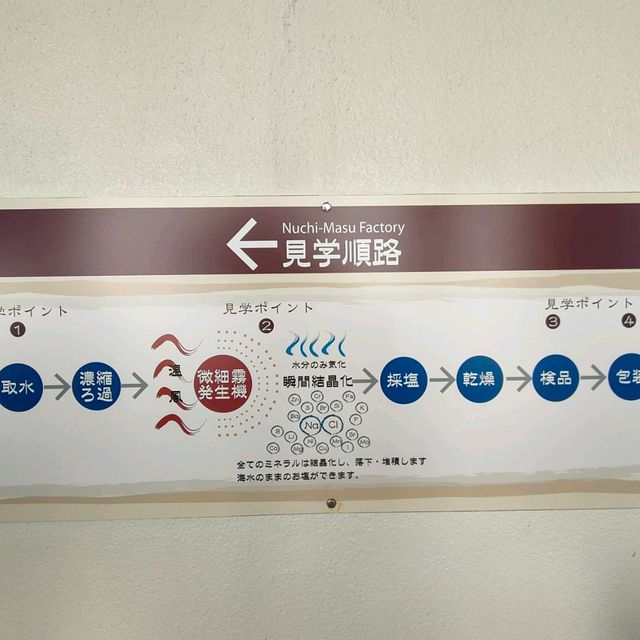 【沖縄 宮城島】ぬちま〜す工場見学✨