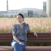 양주천일홍축제 가을 물빛 가득한 양주나리농원