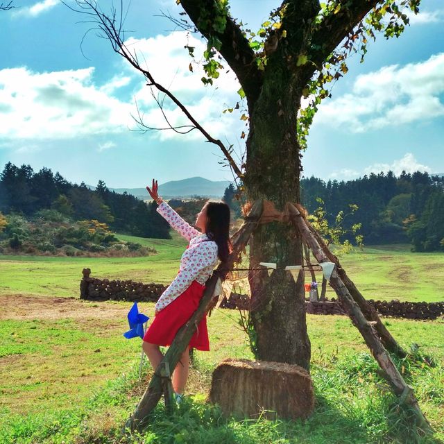 🐮 제주도 목장이면 이정도 뷰는, 아침미소목장