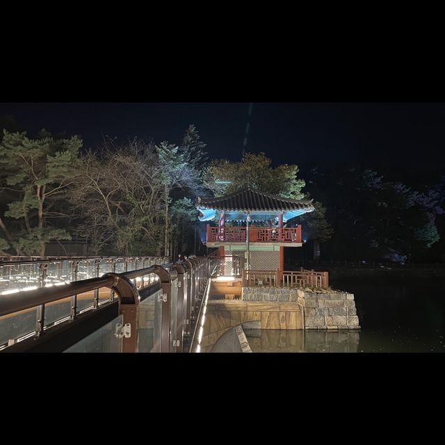 밤에가도 아름답던 의림지