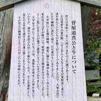 【京都】四季折々の花が楽しめる天満宮
