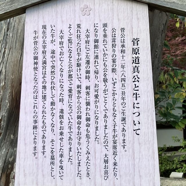 【京都】四季折々の花が楽しめる天満宮