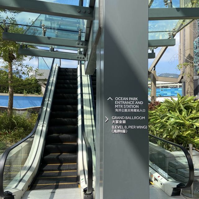 海洋公園萬豪酒店staycation💕🏊🏻‍♀️