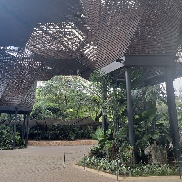 Free Park in Medellin