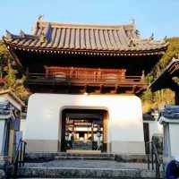 興聖寺　