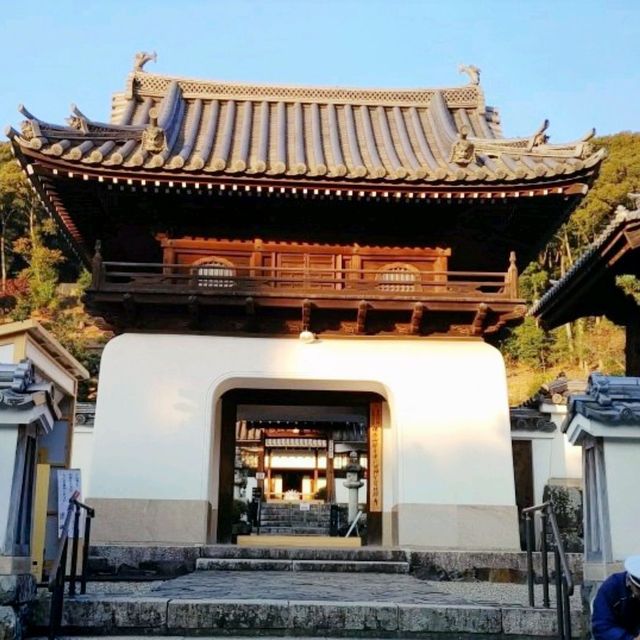 興聖寺　