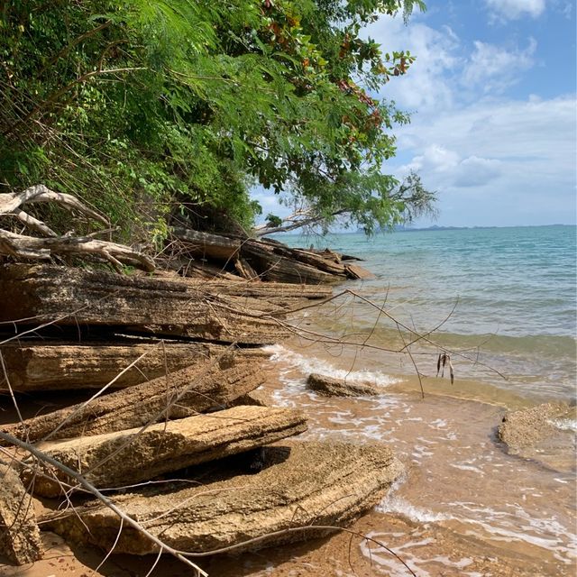 Stroll along a beach made of fossils