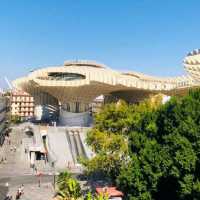 Mushrooms of Seville