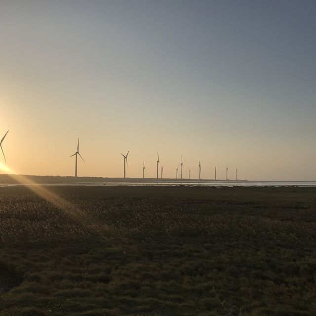 Amazing wind farm at Wetlands 