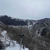 한라산에 눈이 얼마나 쌓였는지 궁금하시죠?☃️🙂