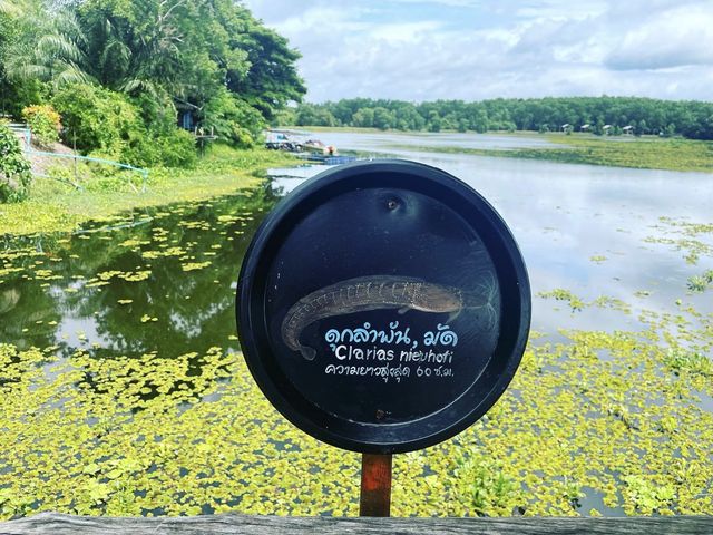 สะพานไม้เคี่ยมแหล่งธรรมชาติใกล้ทะเลชุมพร