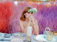 Memory House Cafe สามพราน