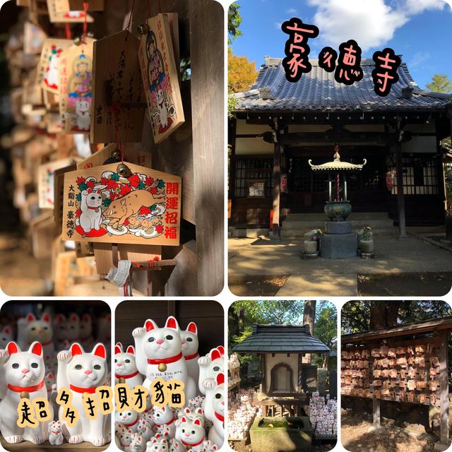滿滿招財貓🐱日本必去豪徳寺
