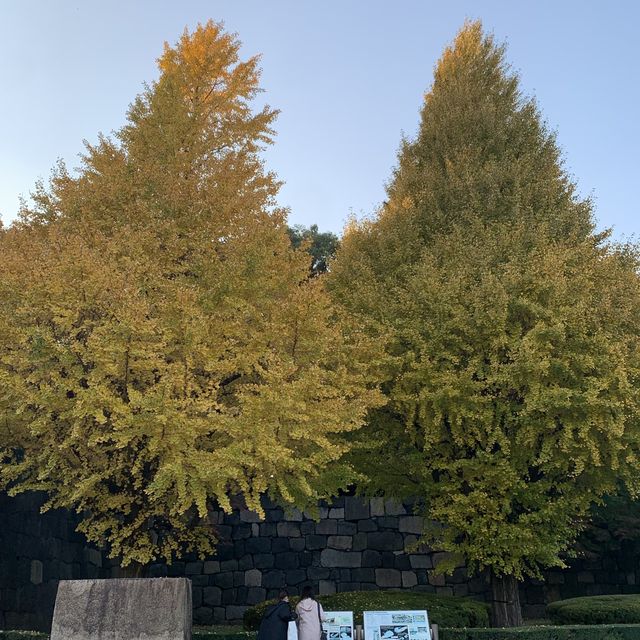 皇居外苑&東御苑