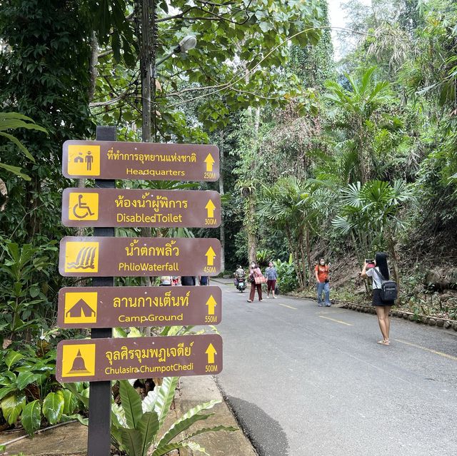 เดินป่า ศึกษาธรรมชาติ ที่น้ำตกพลิ้ว