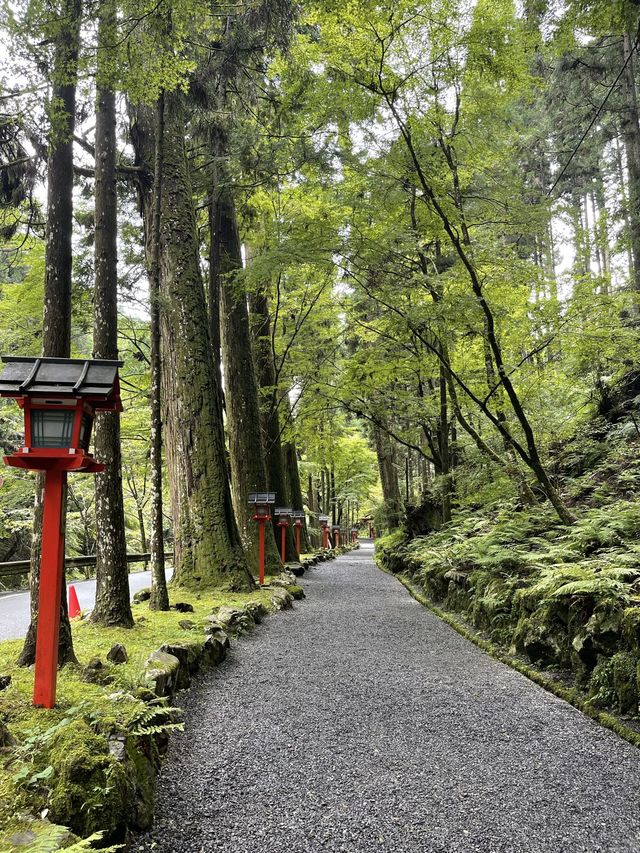 貴船神社周辺の神秘的世界へ。
