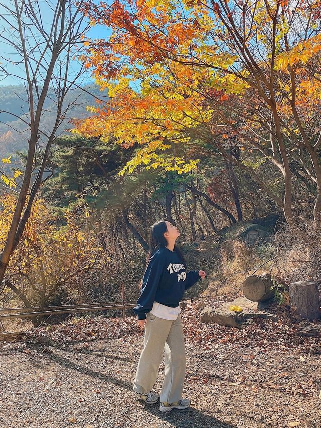 단풍과 산 전망이 아름다운, 밀양 "서당골캠핑장"