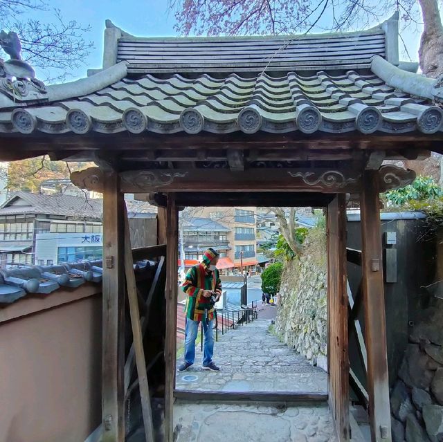 【兵庫 有馬温泉】見るべき桜🌸🌸🌸善福寺🌸🌸🌸