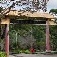 公園❤️❤️❤️