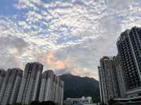平靜的擁抱怒與哀樂
