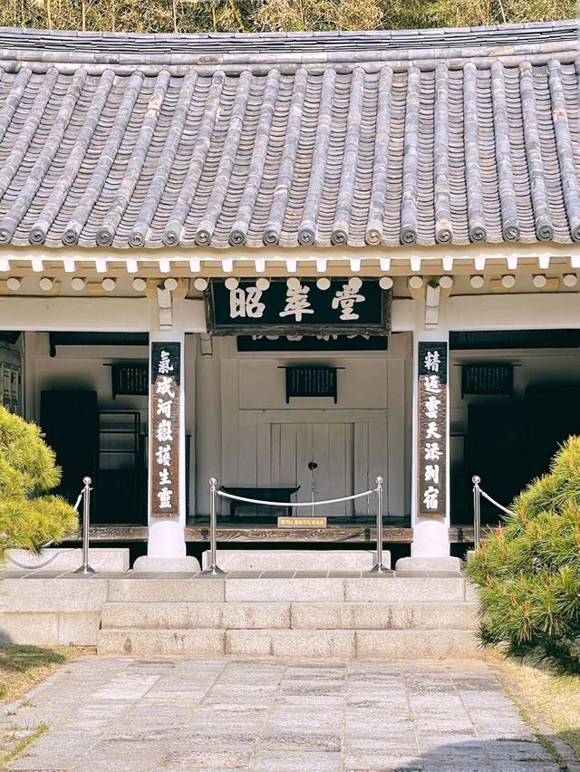 능소화가 만개한 부산 충렬사의 봄,여름