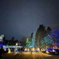 Christmas lights festival at the botanical gardens 