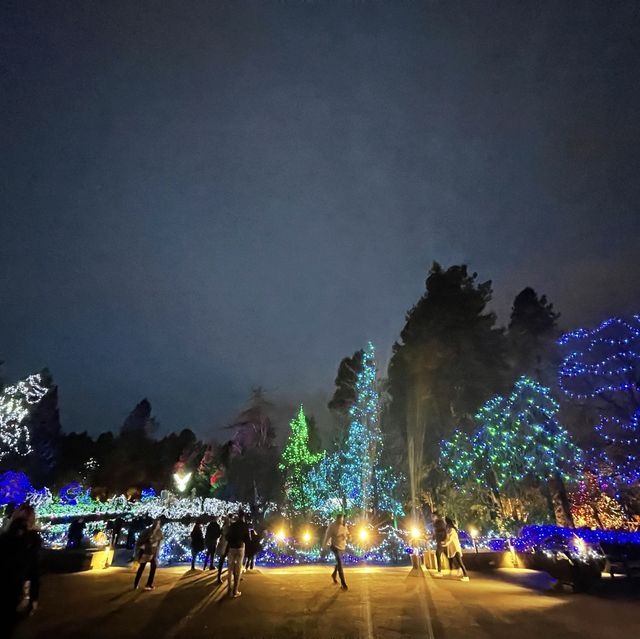 Christmas lights festival at the botanical gardens 