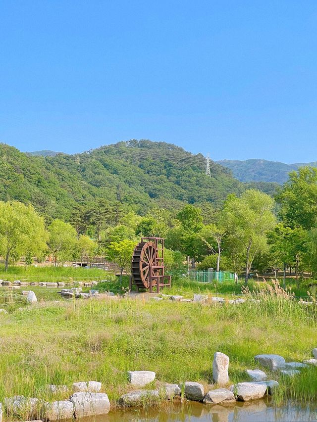 부산 봄나들이 가기 좋은 해운대 수목원 🌿