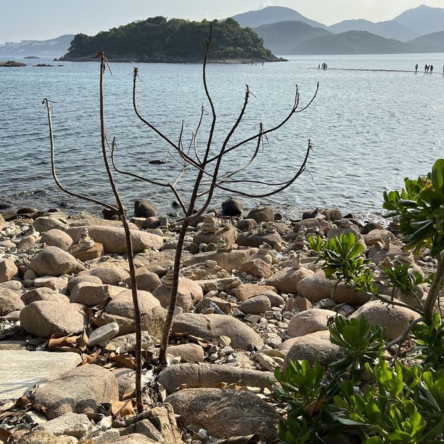 西貢橋咀島環島遊❤️