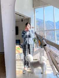 홍천 애견동반숙소 강력추천