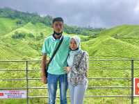 BOH TEA CENTRE, CAMERON HIGHLANDS !! 🍃
