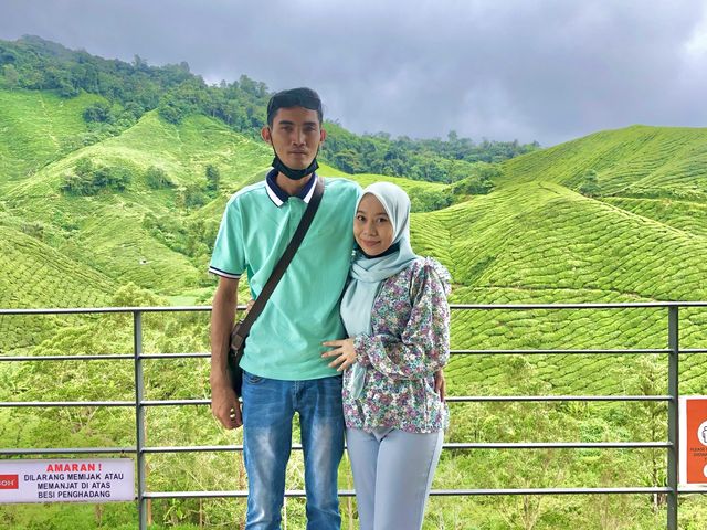 BOH TEA CENTRE, CAMERON HIGHLANDS !! 🍃
