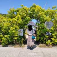 【滋賀 近江八幡】ラコリーナ近江八幡でジブリ体験✨