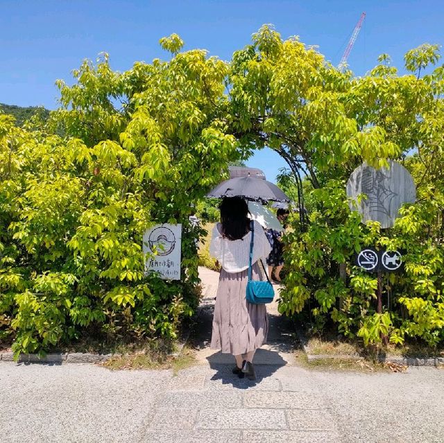 【滋賀 近江八幡】ラコリーナ近江八幡でジブリ体験✨