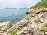 坪洲環島遊