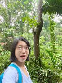 Searching for the Avatar Trees of Singapore