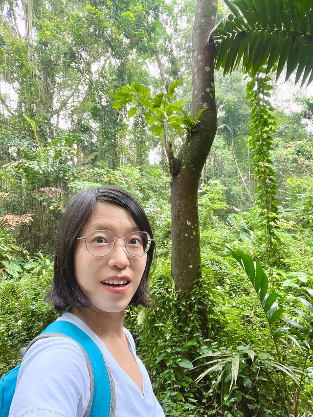 Searching for the Avatar Trees of Singapore