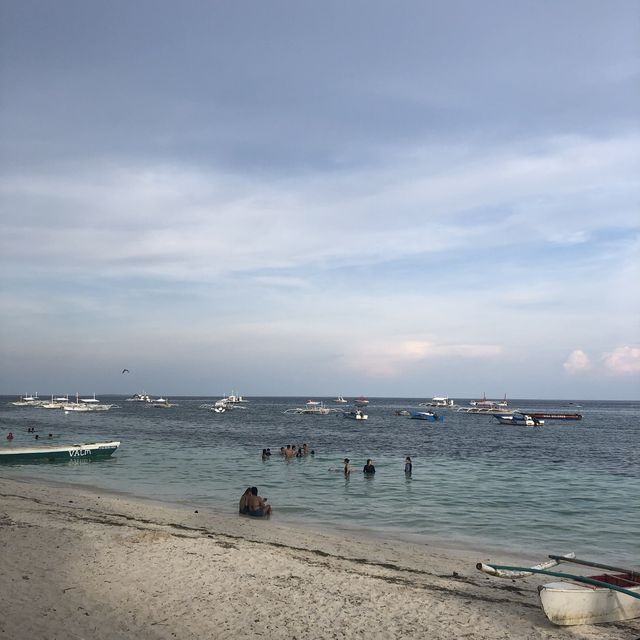 아름다운 필리핀의 섬 보홀, 팡라오에서 보냈던 여름
