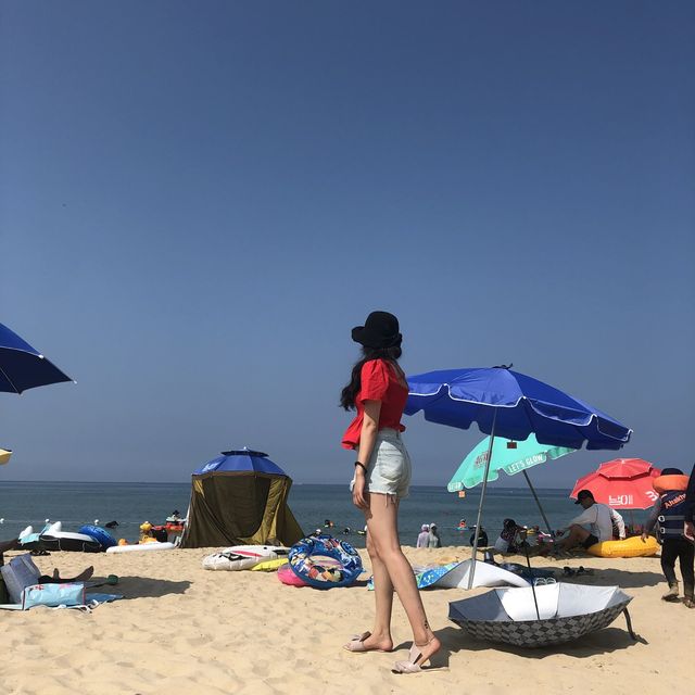 강원도 양양 남애항서의 하루 