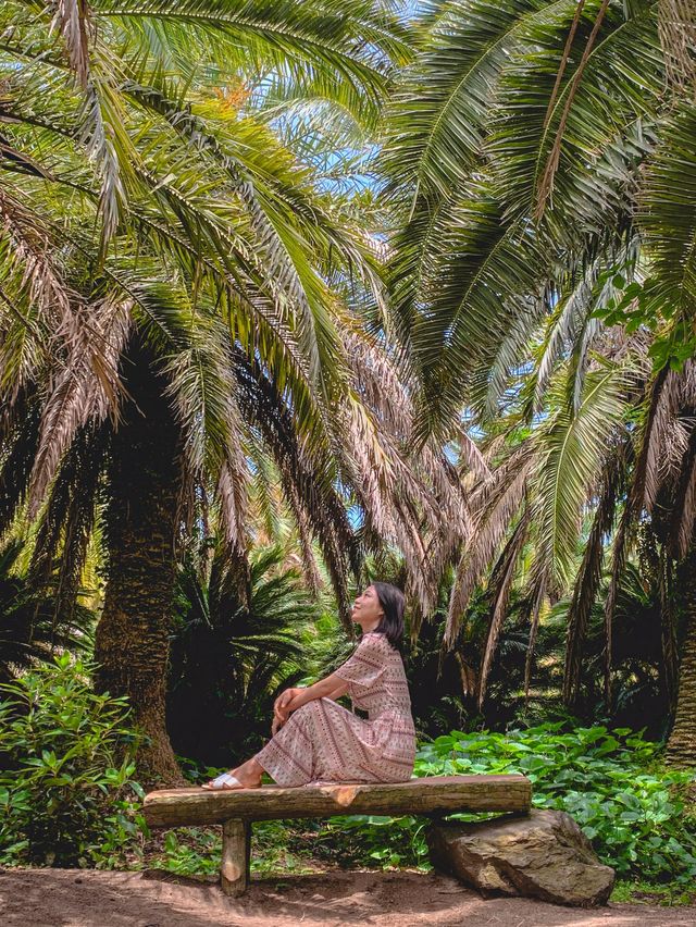 [제주] 상가리야자숲🌴