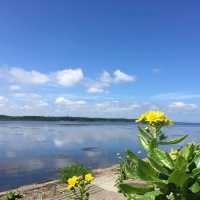 【北海道 根室】美しい風蓮湖✨